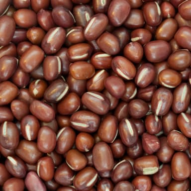 Adzuki bean