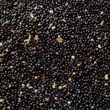 Amaranth