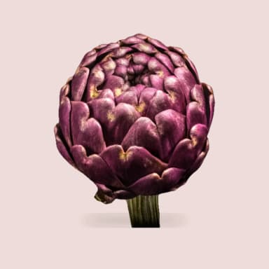 Artichoke