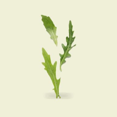 Arugula