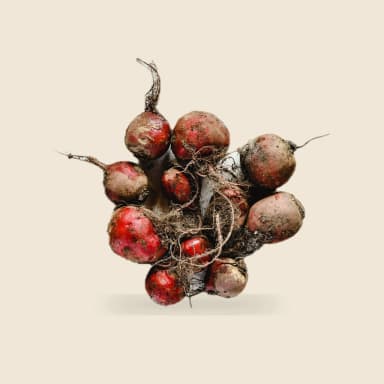 Beet