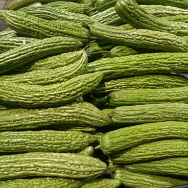 Bitter melon