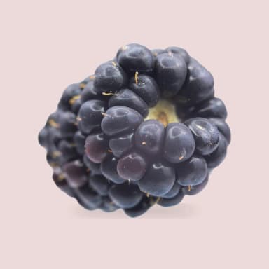 Blackberry