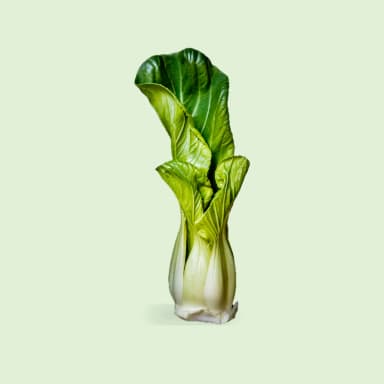 Bok choy