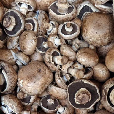 Button mushroom