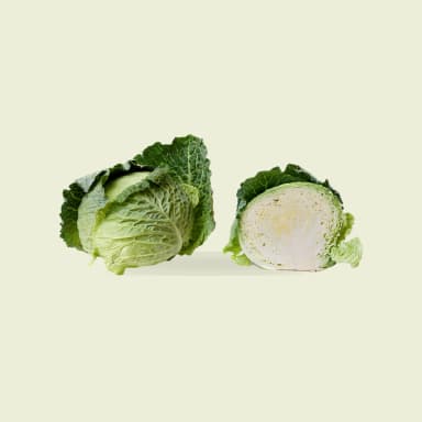 Cabbage
