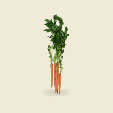 Carrot