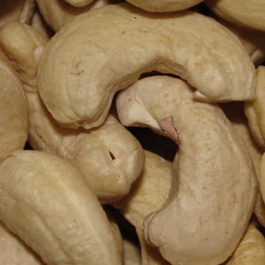 Cashew