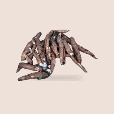 Cassava