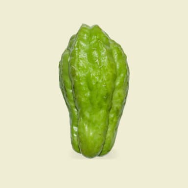Chayote