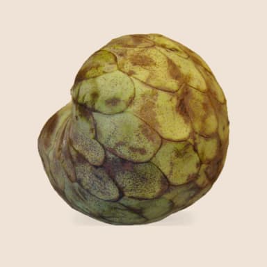 Cherimoya