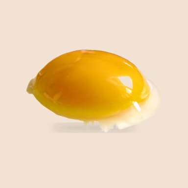 Chicken egg yolk
