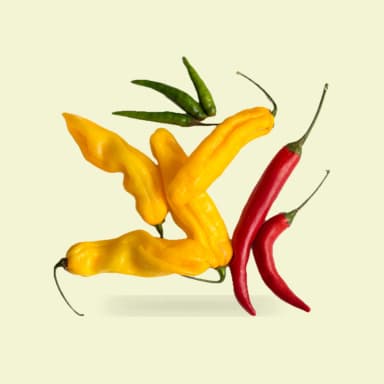 Chile pepper