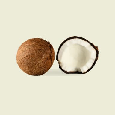 Coconut flesh
