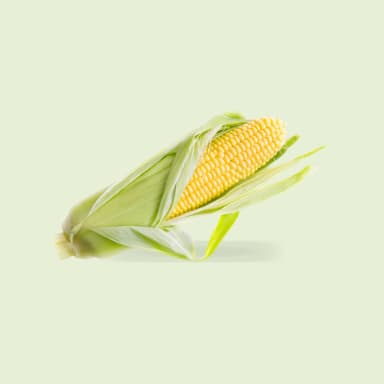 Corn