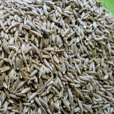 Cumin