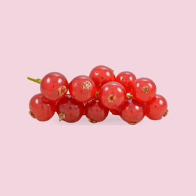 Currant