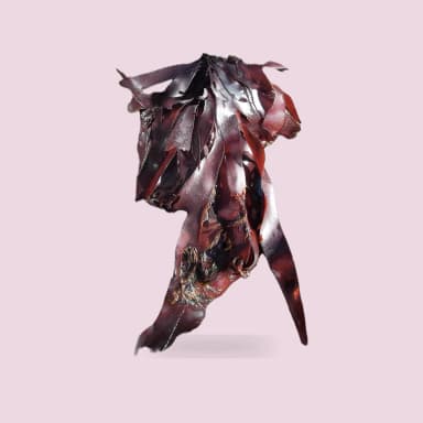 Dulse