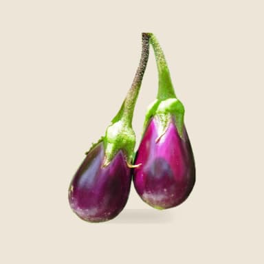 Eggplant