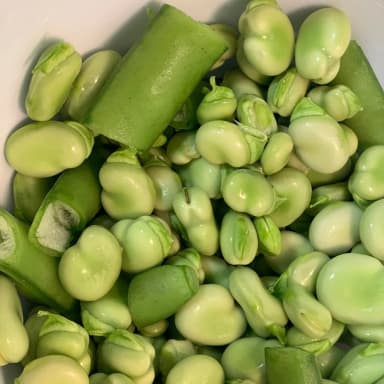 Fava bean