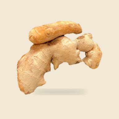 Ginger