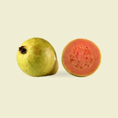 Guava