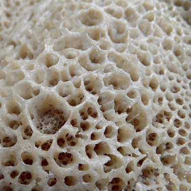 Injera