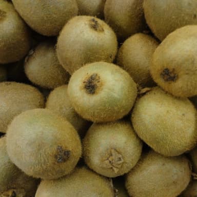Kiwifruit