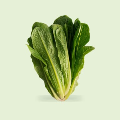 Lettuce