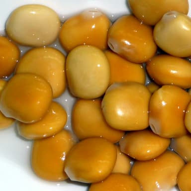 Lupin bean