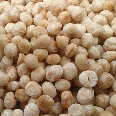 Macadamia