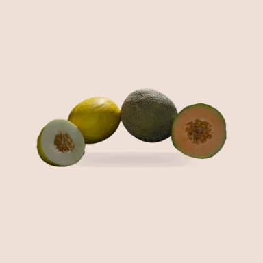 Melon