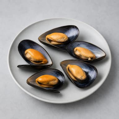 Mussel