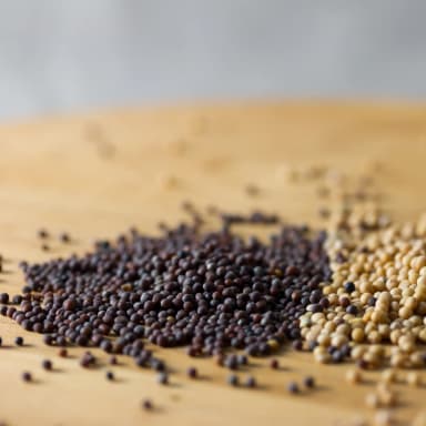 Mustard seed