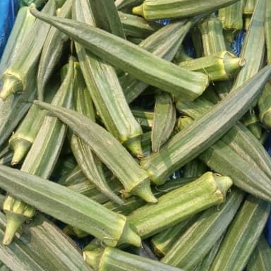Okra