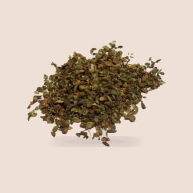 Common oregano