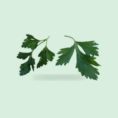 Parsley