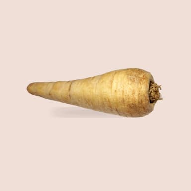 Parsnip