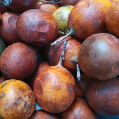 Passion fruit