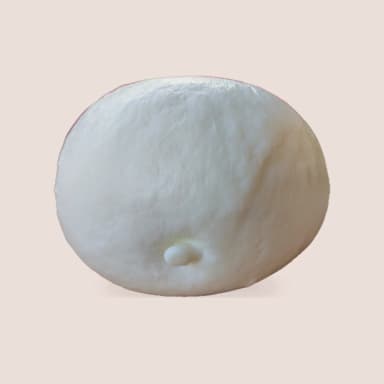 Pasta-filata cheese style