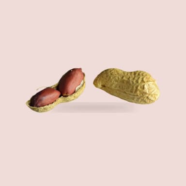 Peanut