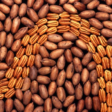 Pecan