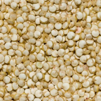 Quinoa