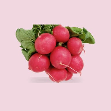 Radish