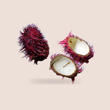 Rambutan