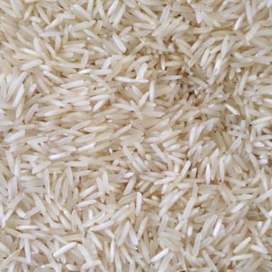 Rice
