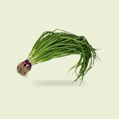 Scallion