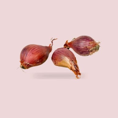 Shallot