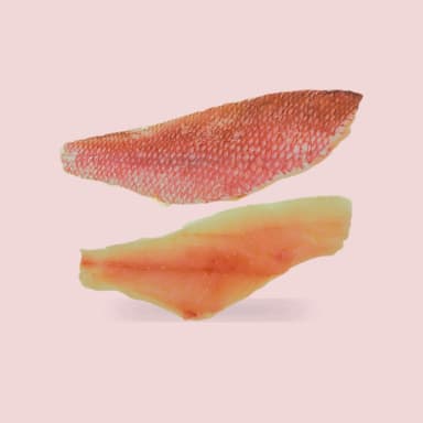 Snapper