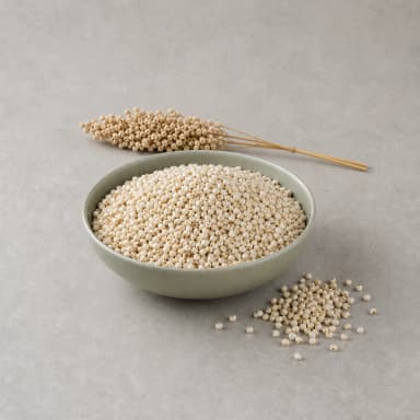 Sorghum